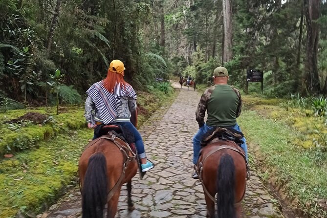 Medellin Horse Ride Coffee Tour and Spa - Key Points