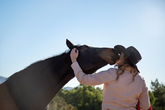 Medellin: Horseback Riding Adventure In Nature (Dont Overpay) - Tour Experience and Activities