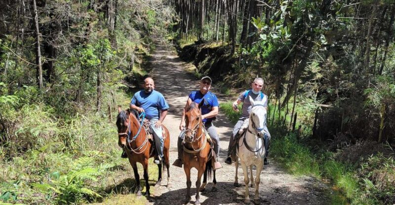 Medellin: Horseback Riding Coffee Farm Tour With Coffee Spa - Transportation and Accessibility