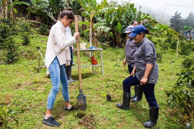 Medellin: Horseback Riding Coffee Farm Tour With Coffee Spa - Recap