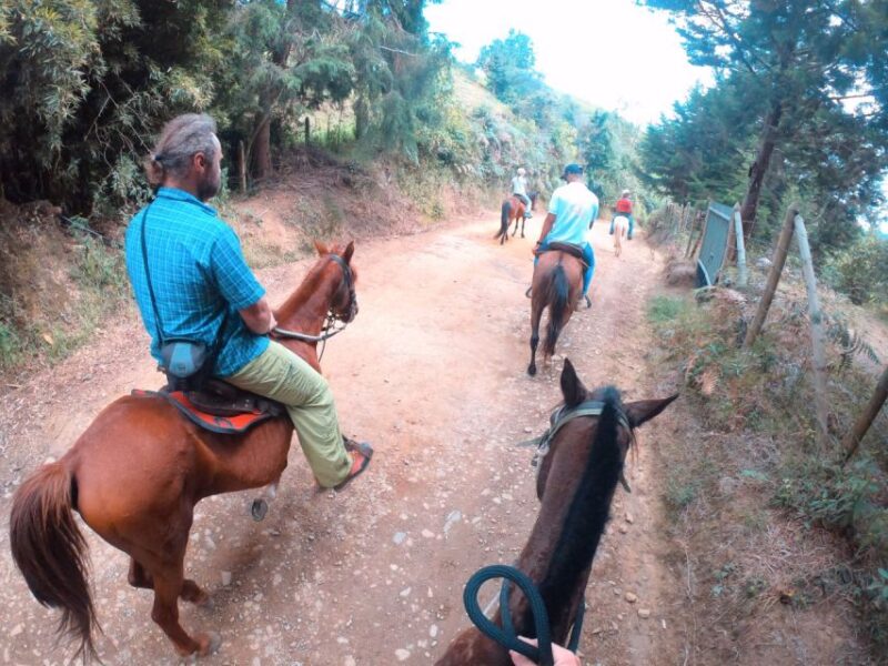 Medellin: Horseback Riding in the Medellin Mountains - Itinerary Details