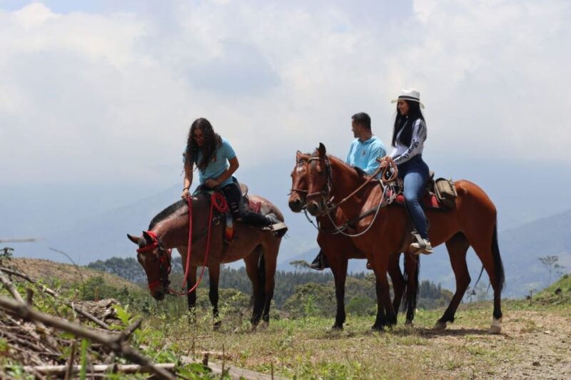 Medellin: Horseback Riding in the Medellin Mountains - Important Information