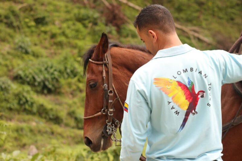 Medellin: Horseback Riding in the Medellin Mountains - Key Points