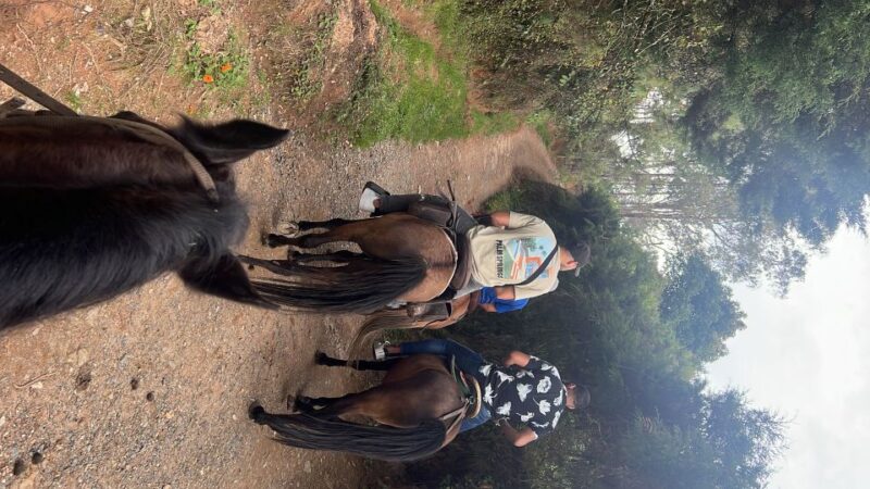 Medellin: Horseback Riding in the Medellin Mountains - Itinerary Details