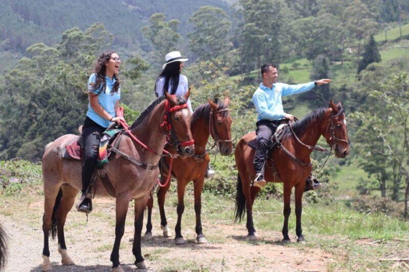 Medellin: Horseback Riding in the Medellin Mountains - Important Information