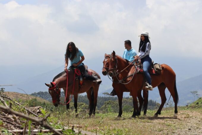 Medellin: Horseback Riding in the Medellin Mountains - Transportation and Value