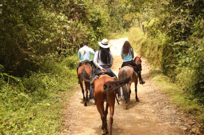 Medellin: Horseback Riding in the Medellin Mountains - Guide and Horse Care