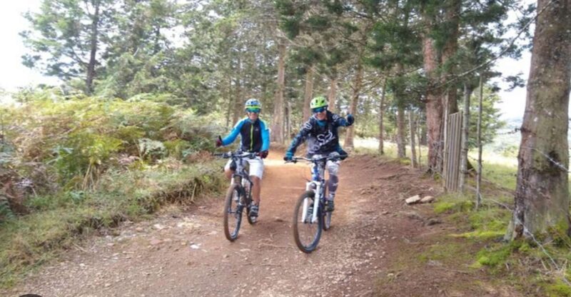 Medellin: Mountain Bike Coffee Farm Tour and Spa Experience - Coffee Farm Experience
