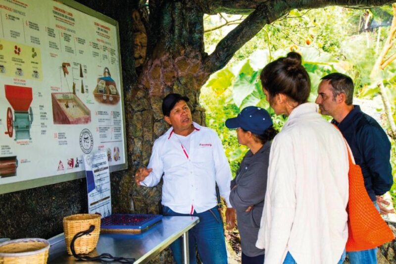 Medellin: Mountain Bike Coffee Farm Tour and Spa Experience - Spa Treatments