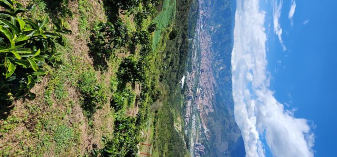 Medellin: Mountain Bike Coffee Farm Tour and Spa Experience - Recap