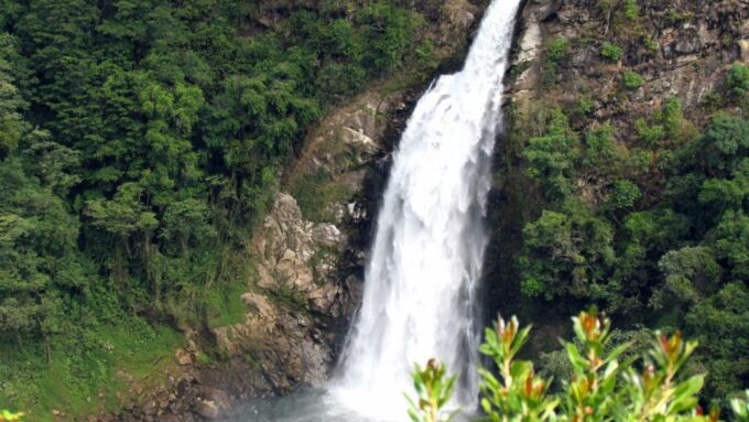 Medellin: Private 8-day Immersive Cultural Tour & Day Trips - Tour Inclusions