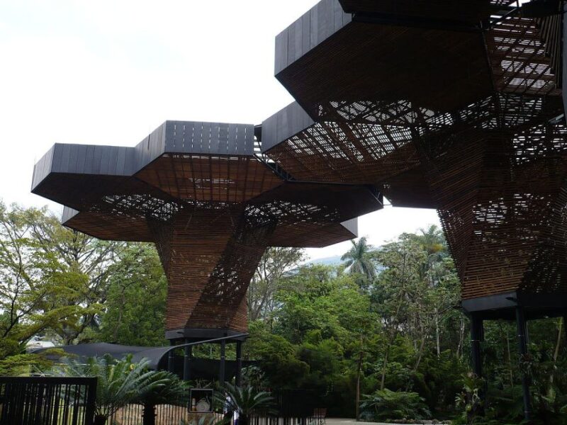 Medellin: Private City Tour - Accessibility and Limitations