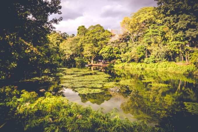 Medellin: Private City Tour - Tour Itinerary