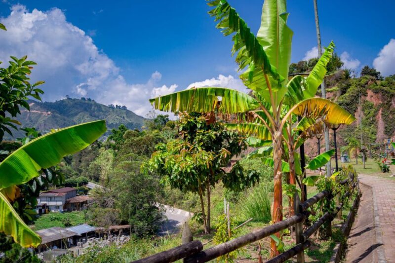 Medellín: Private Guatapé Tour With Breakfast, Lunch & Cruise - Customer Feedback