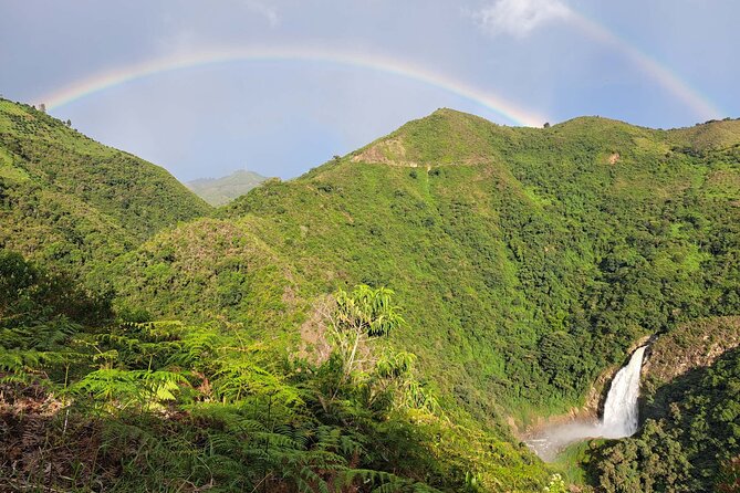 Medellín Private Tour With Waterfall Adventure Zipline & Hiking - Key Points