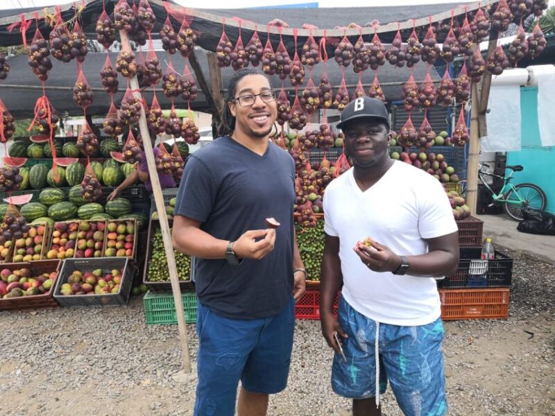 Medellin: Santa Fe De Antioquia Day Trip - Recap