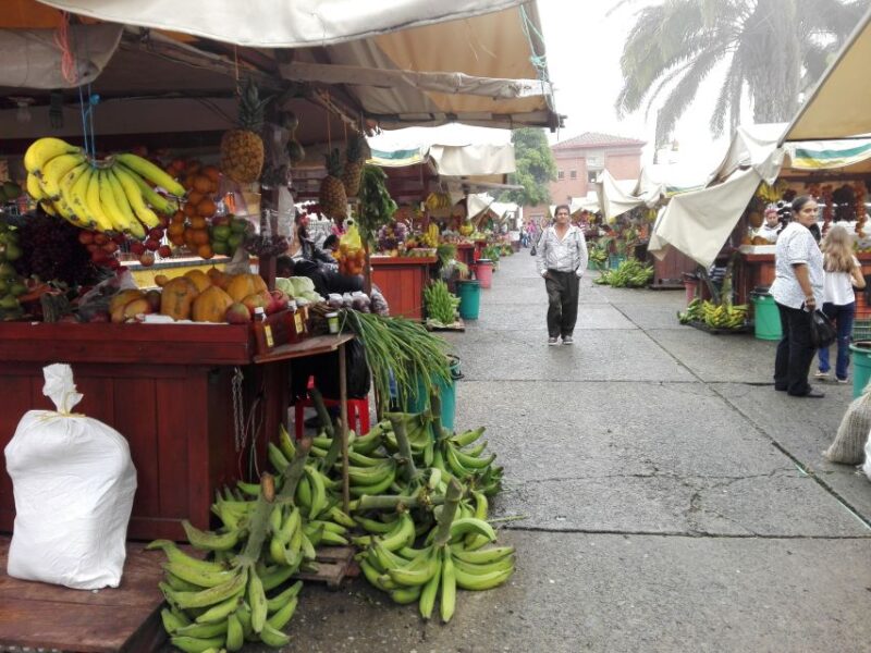 Medellin: Tamesis Hiking Trip With La Peinada Waterfall - Trip Overview