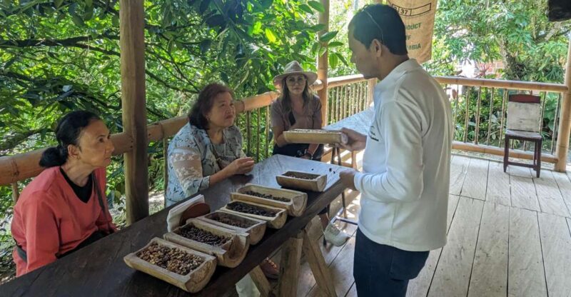 Medellin to Fredonia for a Coffee Day Tour - Coffee Experience Highlights