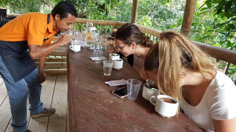 Medellin to Fredonia for a Coffee Day Tour - Coffee Experience Highlights