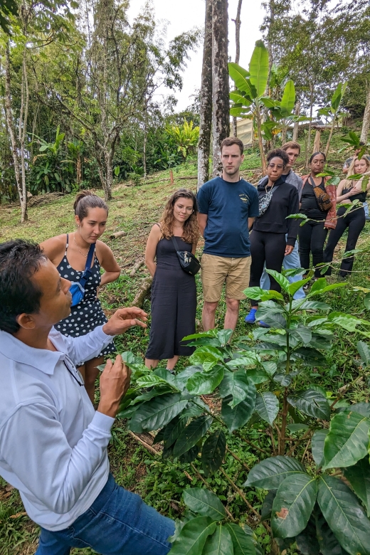 Medellin to Fredonia for a Coffee Day Tour - Recap