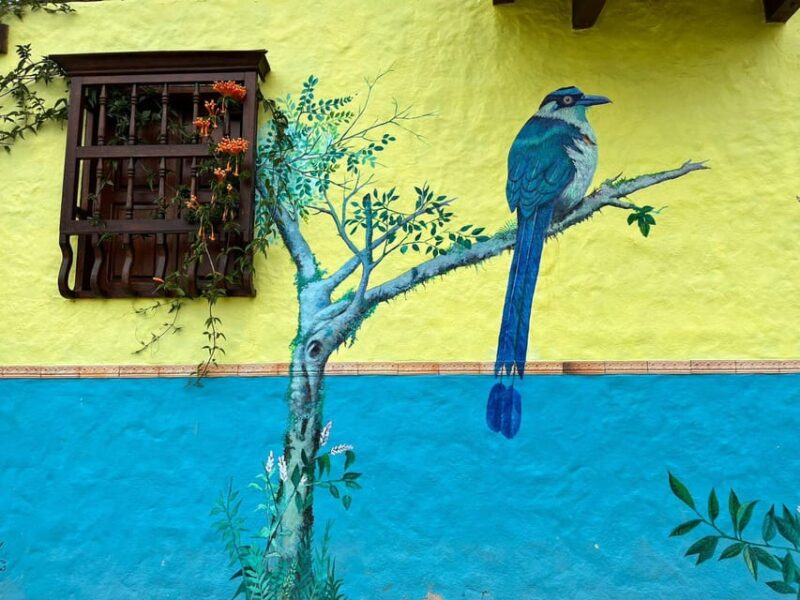 Medellin to Jardin (Or Vice Versa) - Private Transport - Comfortable Ride