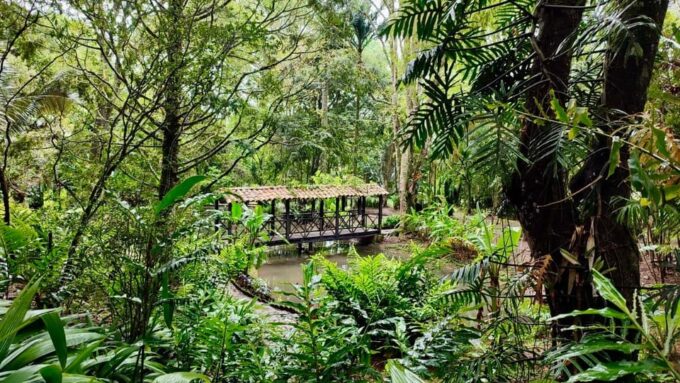 Medellin to Jerico (Or Vice Versa) - Private Transport - Recap
