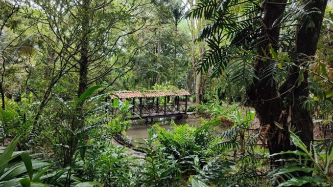 Medellin to Jerico (Or Vice Versa) - Private Transport - Additional Information