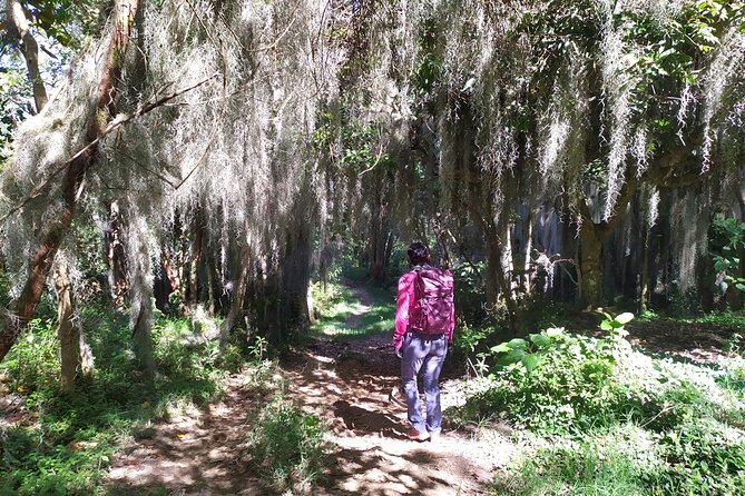 Medellín Viewpoints Hike - Accessibility