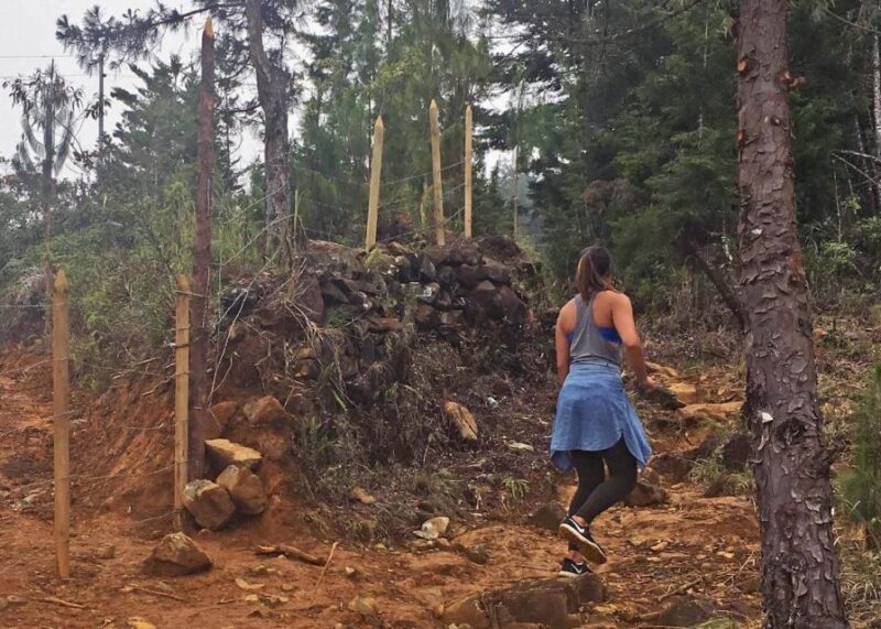 Medellín Waterfall: Hike and Discover Medellín's Nature - Customer Feedback
