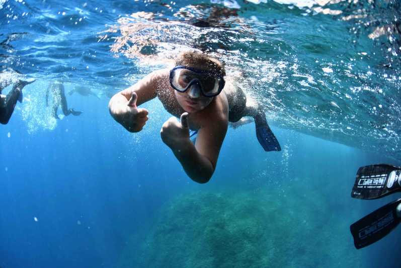 Medes Islands: Snorkeling at the Beautiful Nature Park - Explore Stunning Landscapes