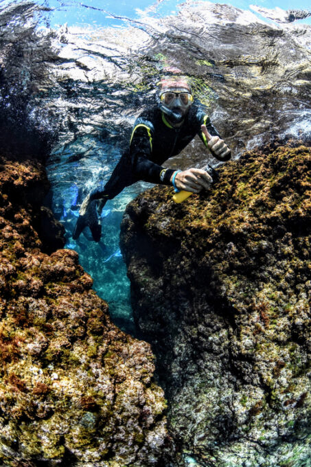 Medes Islands: Snorkeling at the Beautiful Nature Park - Personalized Service and Support