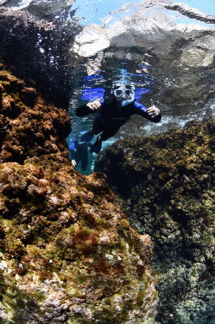 Medes Islands: Snorkeling at the Beautiful Nature Park - Important Information