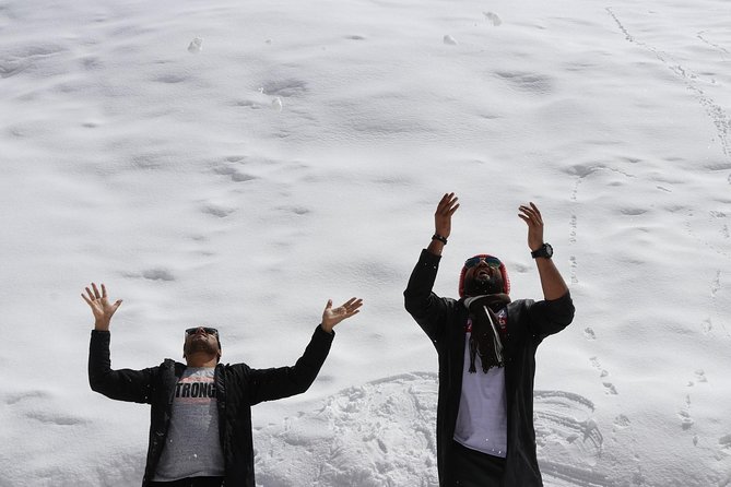 Medeu and Shymbulak Ski Resort Private Excursion - Tour Features