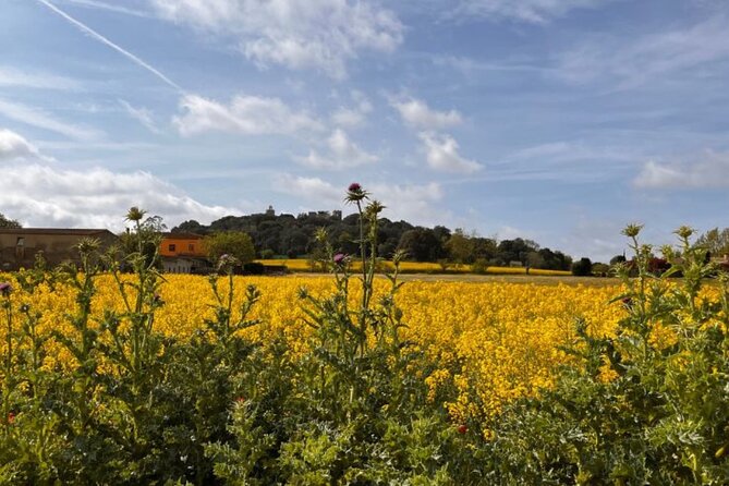 Medieval Bike Tour With History and Gastronomy - Meeting Point Information