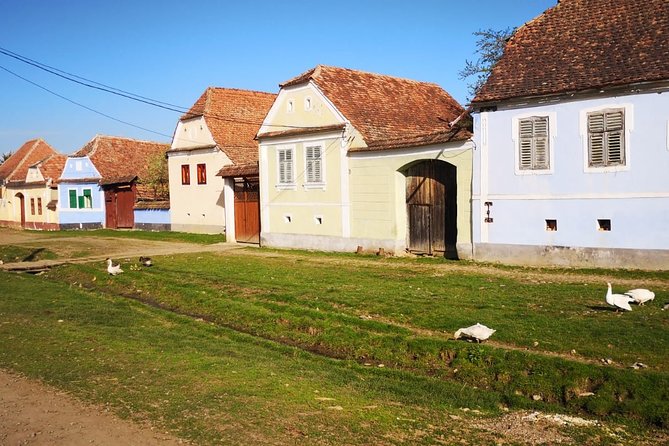 Medieval Sighisoara & Rural Viscri - PRIVATE Tour- LUNCH INCLUDED - Exploring the Rural Viscri Village