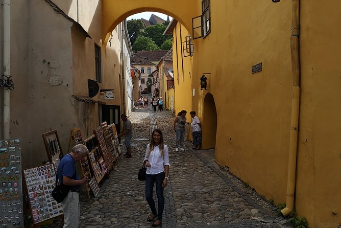 Medieval Sighisoara & Rural Viscri - PRIVATE Tour- LUNCH INCLUDED - Viators Company Background