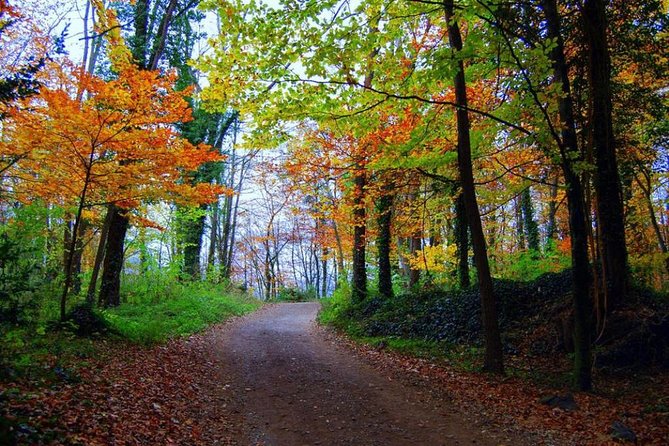 Medieval Villages & La Garrotxa Volcanic Zone Hiking. Small Group Tour - Requirements and Recommendations