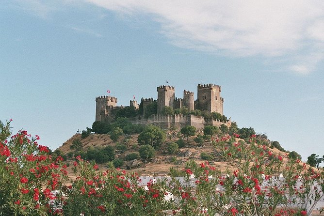 Medina Azahara and Almodovar Castle From Cordoba - Reviews