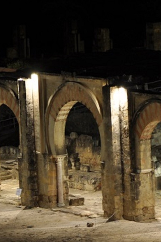 Medina Azahara Guided Tour at Night - Participant Age Groups