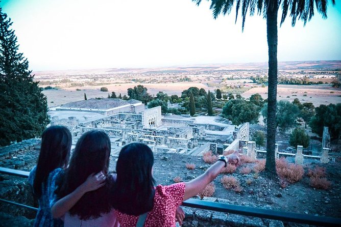 Medina Azahara Guided Tour From Córdoba - Included Services