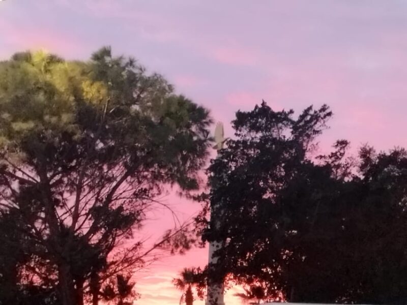 Medina Sunsetting Tour - Transportation Details