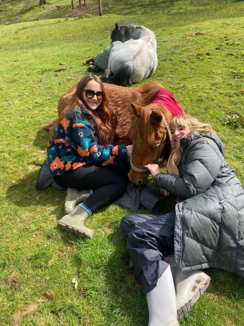 Meditate With Horses - Key Points