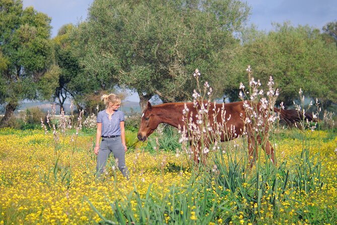Meditation Activity: Mindfulness With Horses in Zahora - Connecting With the Majestic Horses