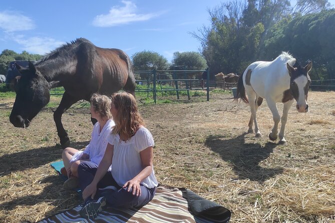 Meditation Activity: Mindfulness With Horses in Zahora - Mindfulness Techniques for Inner Peace