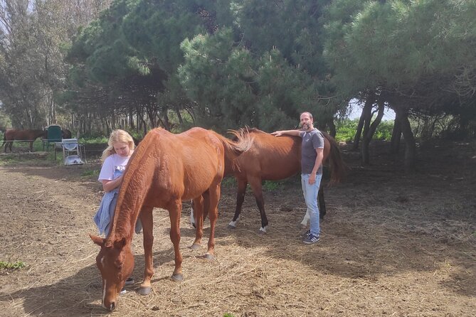 Meditation Activity: Mindfulness With Horses in Zahora - Reflective Journal Writing Session