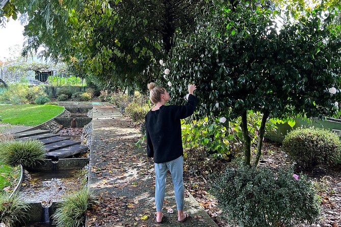 Meditation Experience at a Lovely Farm in Porto - Experience Highlights