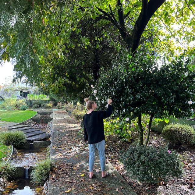 Meditation Experience at a Lovely Farm in Porto (private) - Location and Accessibility