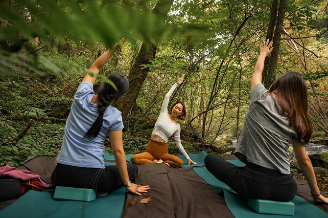 Meditation Experience in Nature With Primeval Forest and Springs - Schedule