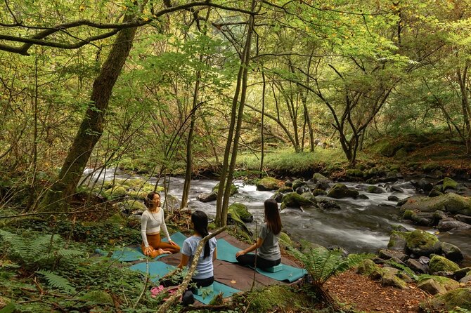 Meditation Experience in Nature With Primeval Forest and Springs - Provided Amenities