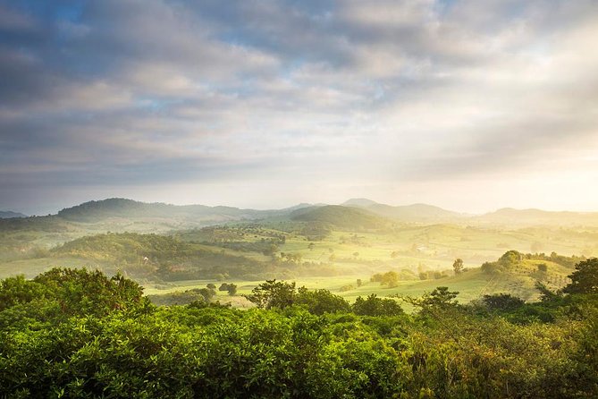 Meditation & Music Therapy at Polgahaamuna Waterfall - Key Points